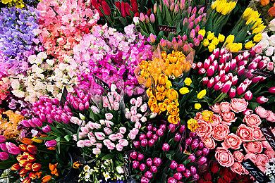 《赛博朋克2077》支持FSR2.1后 XSS受益明显